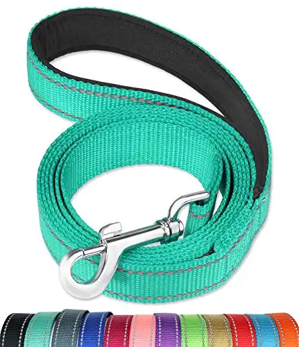 FunTags 6FT Reflective Dog Leash with Soft Padded Handle for Training,Walking Lead for Large, Medium,Turquoise