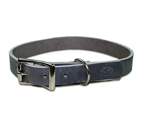 sleepy pup Full Grain Thick Leather Dog Collar (X-Large: 22"-26", Gray)