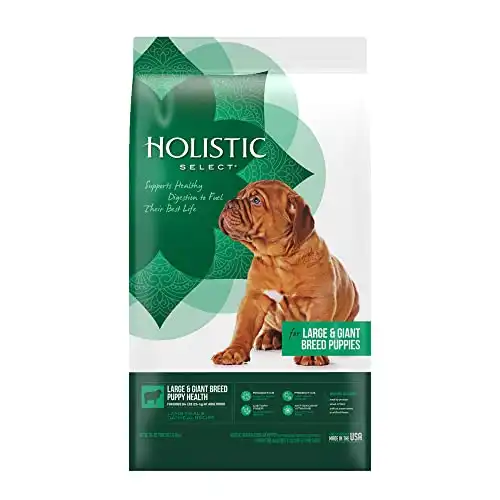 Holistic Select Natural Dry Dog Food, Large & Giant Breed Puppy Recipe, 30-Pound Bag