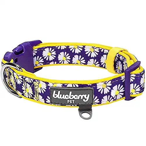 Blueberry Pet 5 Patterns Soft & Comfy Loving Daisy Prints Padded Adjustable Dog Collar, Large, Neck 18"-26"