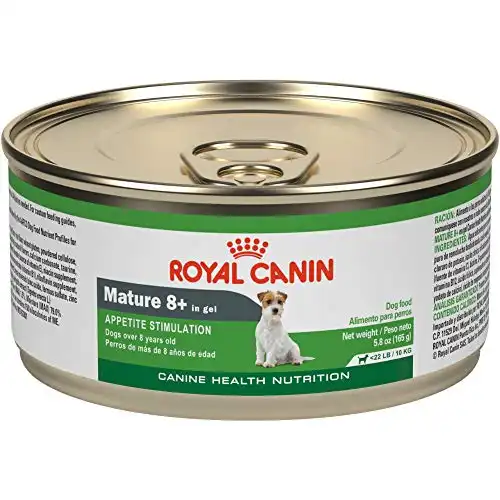 Royal Canin Canine Health Nutrition Mature 8+ In Gel Canned Dog Food, 5.8 oz Can (Pack of 24)