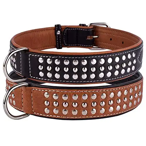 CollarDirect Studded Dog Collar Leather Pet Collars for Dogs Small Medium Large Puppy Soft Padded Brown Black (Black, Neck fit 23" - 26")