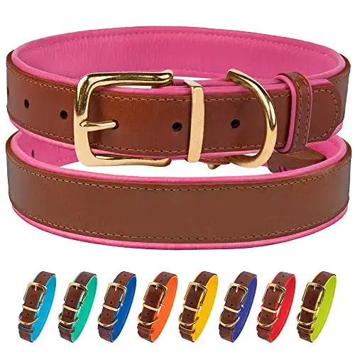CollarDirect Leather Dog Collar Brass Buckle Soft Padded Puppy Small Medium Large Red Pink Blue Green Purple Yellow (Neck Fit 15"-17", Pink)