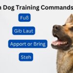 German Dog Training Commands