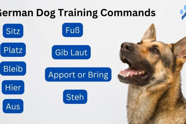 German Dog Training Commands