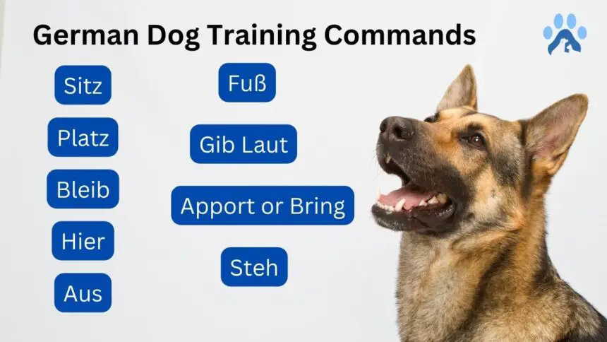 German Dog Training Commands