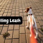 Dog Pulling Leash