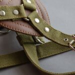 How to Choose a Dog Harness