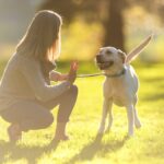 How to Train a Dog to Stay