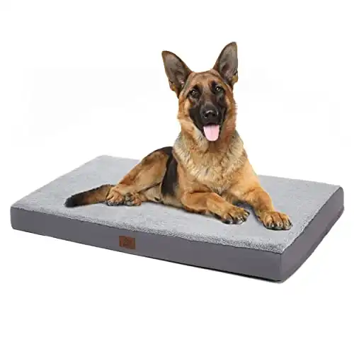 Eterish Extra Large Orthopedic Dog Bed for Medium, Large, Extra Large Dogs up to 100 lbs