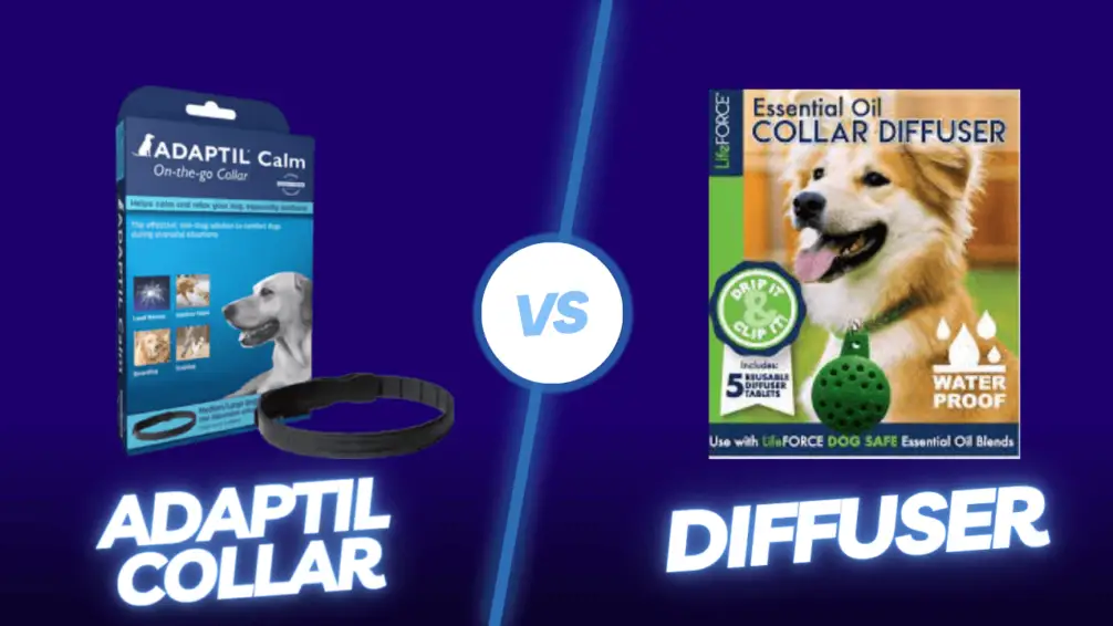 Adaptil Collar Vs Diffuser Which Is Best For Your Anxious Dog?