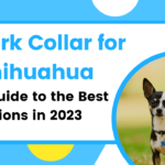 Bark Collar for Chihuahua
