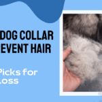 Best Dog Collar to Prevent Hair Loss