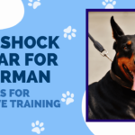 Best Shock Collar for Doberman