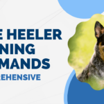 Blue Heeler Training Commands