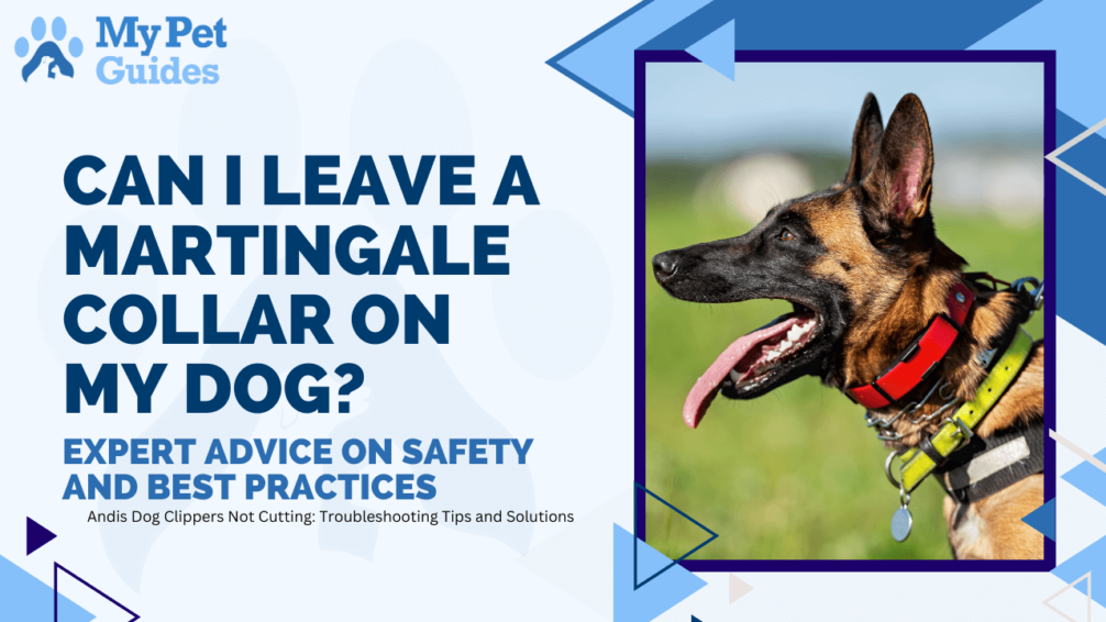 Can I Leave a Martingale Collar on My Dog