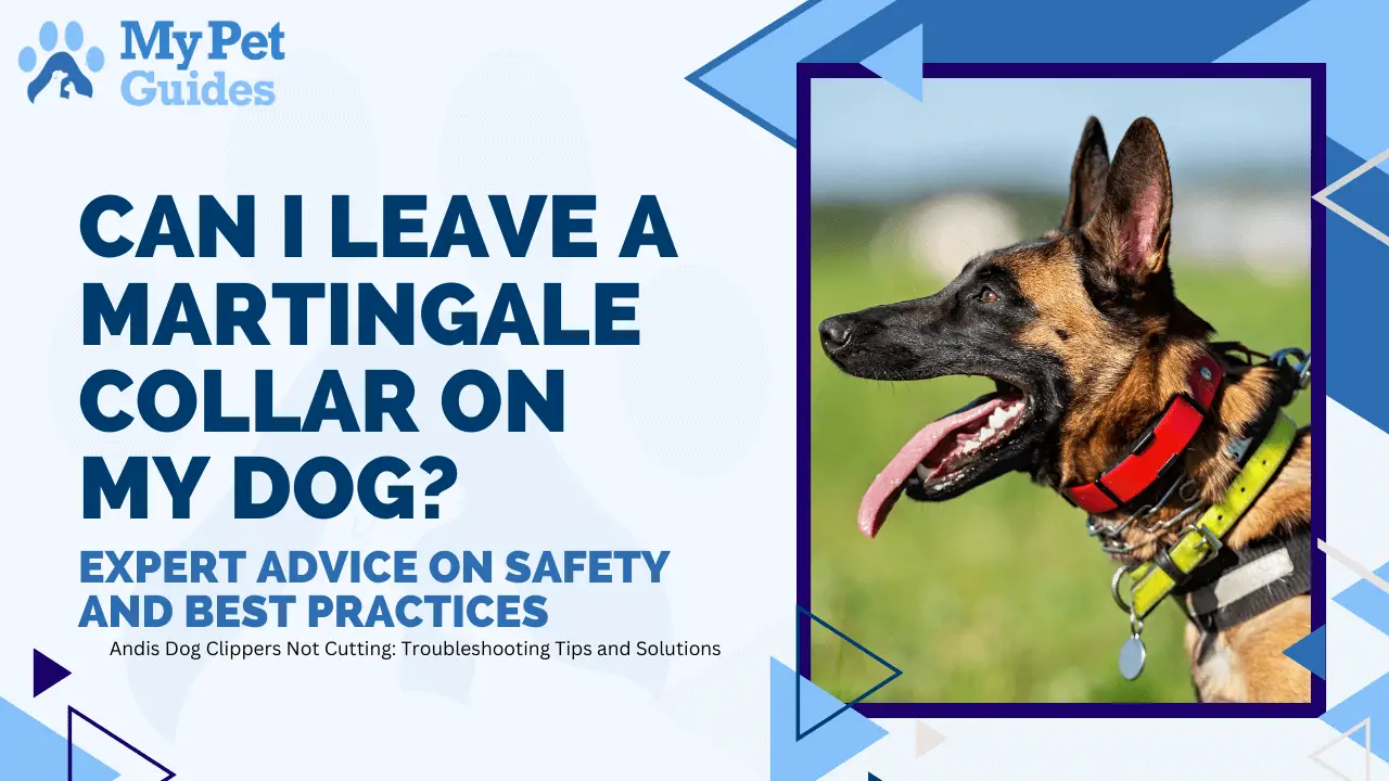 Can I Leave a Martingale Collar on My Dog? Expert Advice on Safety and Best Practices