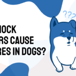 Can Shock Collars Cause Seizures in Dogs