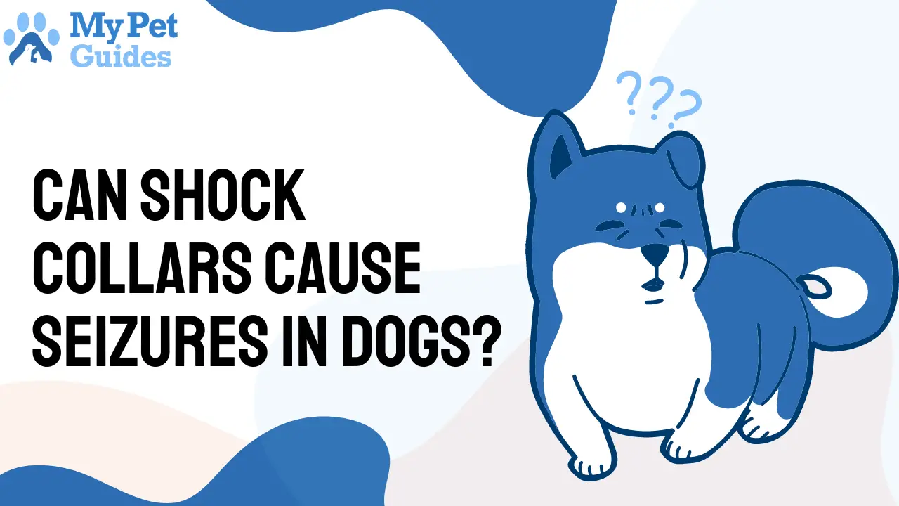 Can Shock Collars Cause Seizures in Dogs