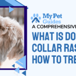 Dog Collar Rash