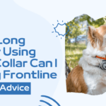How Long After Using Flea Collar Can I Apply Frontline: Expert Advice 3 How Long After Using Flea Collar Can I Apply Frontline