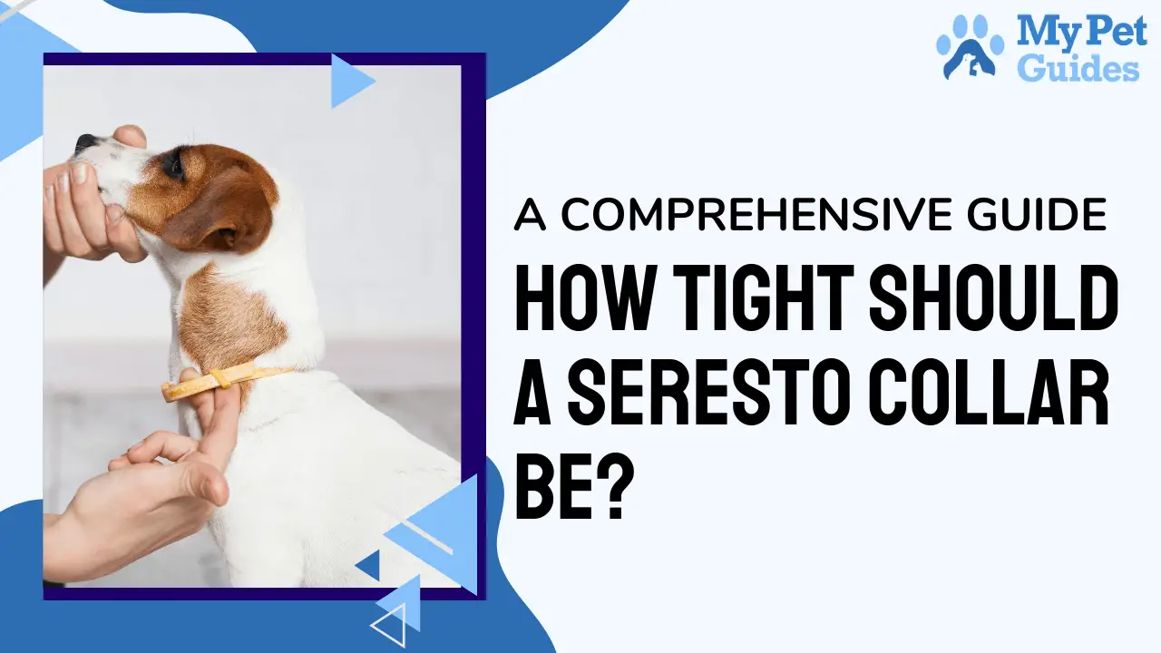 How Tight Should a Seresto Collar Be