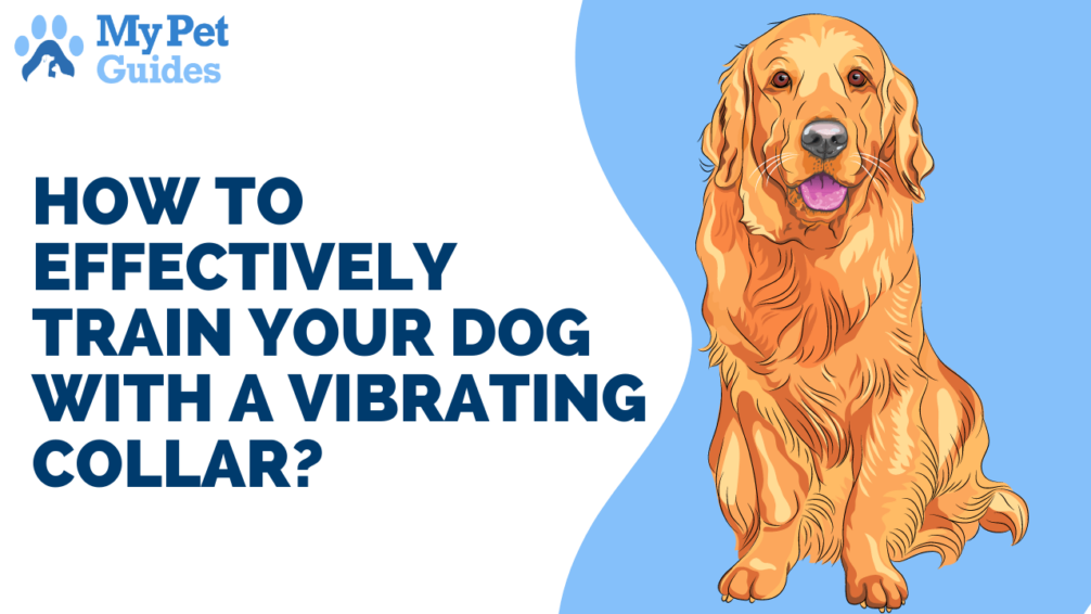 How to Effectively Train Your Dog with a Vibrating Collar