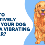 How to Effectively Train Your Dog with a Vibrating Collar