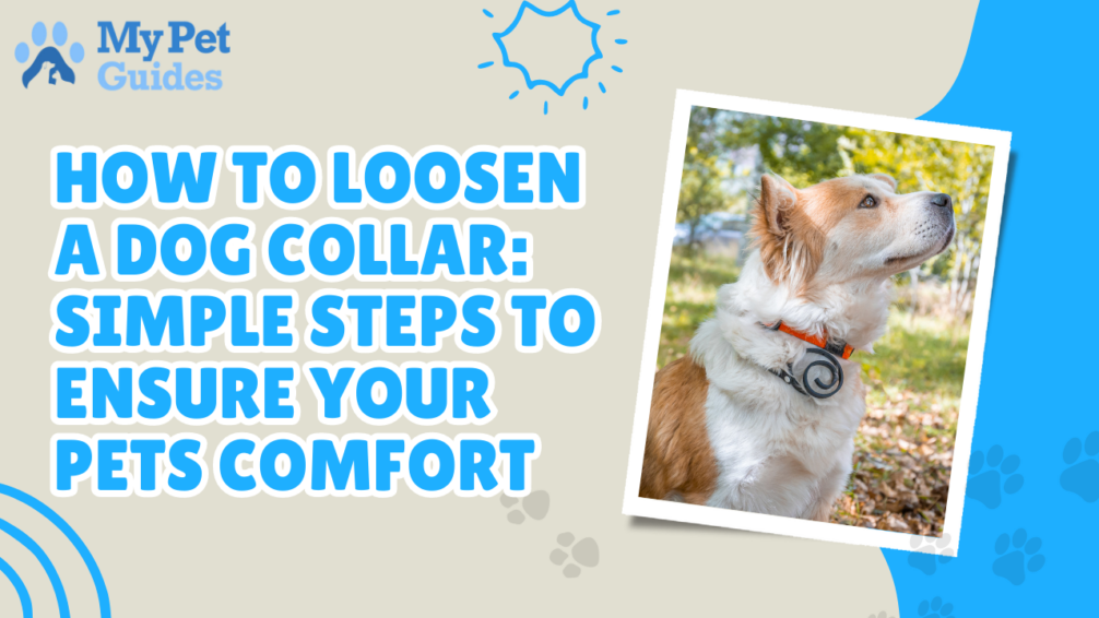 How to Loosen a Dog Collar