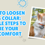 How to Loosen a Dog Collar