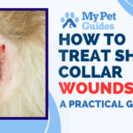 How to Treat Shock Collar Wounds