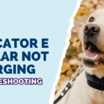 Mini Educator E Collar Not Charging: Troubleshooting Tips 3 Mini Educator E Collar Not Charging