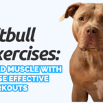 Pitbull Exercises To Build Muscle