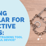 Prong Collar for Reactive Dogs