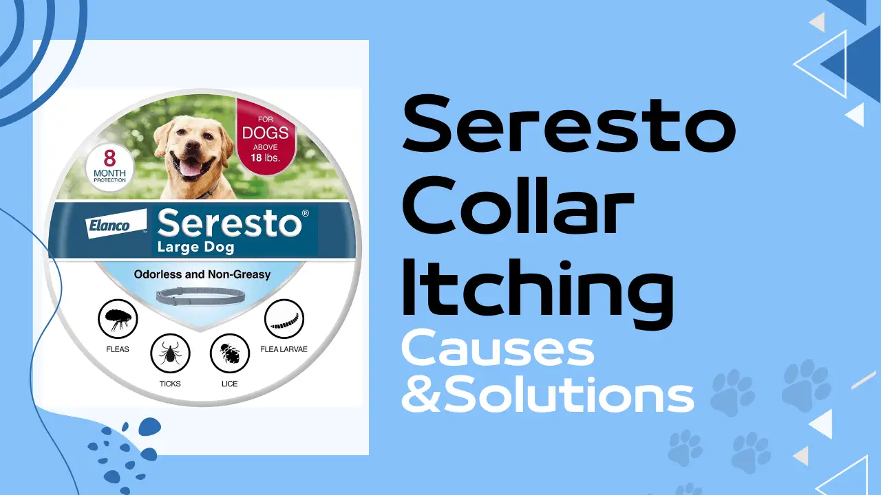 Seresto Collar Itching: Causes and Solutions
