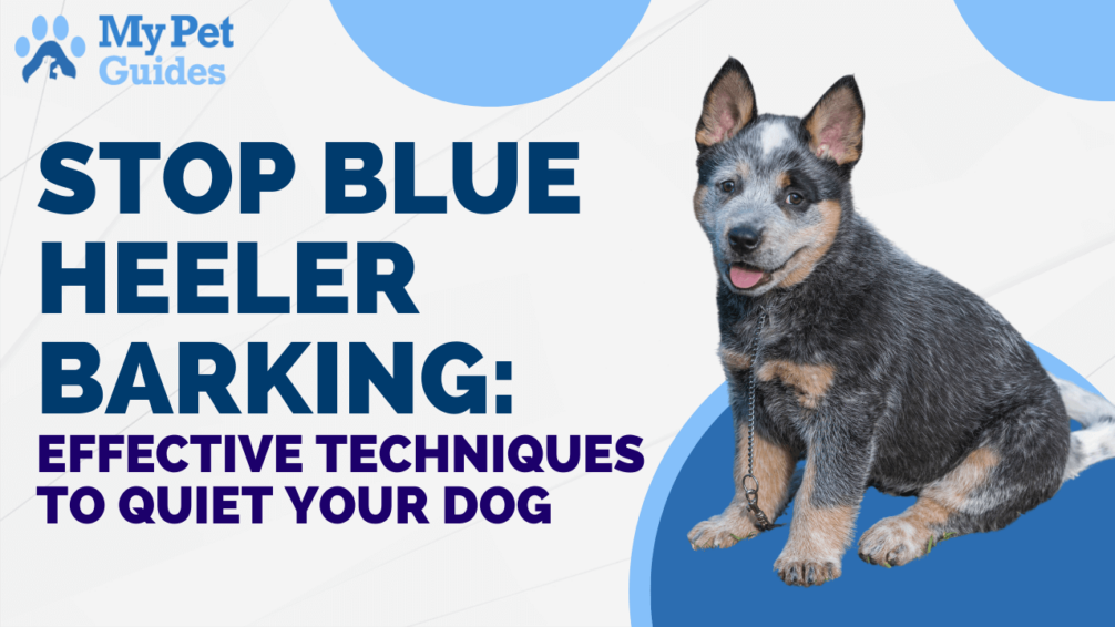 Stop Blue Heeler Barking