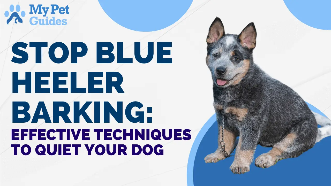 Stop Blue Heeler Barking: Effective Techniques to Quiet Your Dog