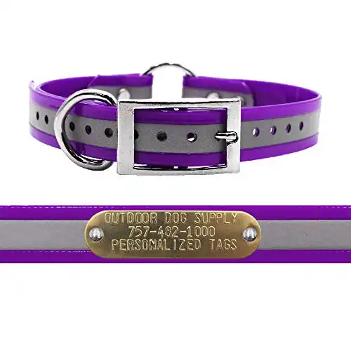 Outdoor Dog Supply's 1" Wide Reflective Ring in Center Dog Collar Strap with Custom Brass Name Plate (21" Long, Reflective Purple)