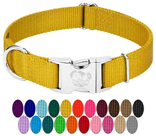 Country Brook Design - Vibrant 30+ Color Selection - Premium Nylon Dog Collar with Metal Buckle (Large, 1 Inch, Gold)