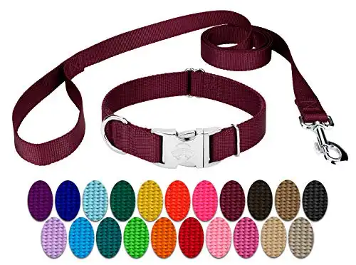 Country Brook Petz - Vibrant 25+ Color Selection - Premium Nylon Dog Collar and Leash (Large, 1 Inch Wide, Burgundy)