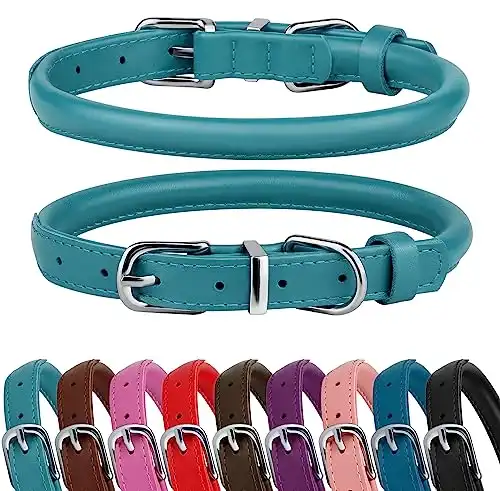 BRONZEDOG Rolled Leather Dog Collar for Small Medium Large Dogs with QR ID Tag (S: 12-14 Inch, Teal)