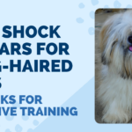 Best Shock Collars for Long-Haired Dogs