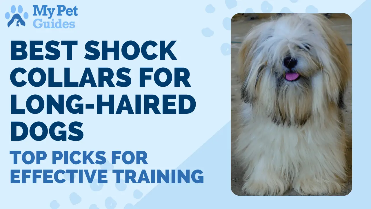 Best Shock Collars for Long-Haired Dogs: Top Picks for Effective Training