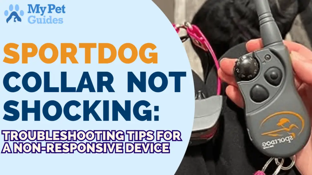 SportDog Collar Not Shocking Troubleshooting Tips For A NonResponsive