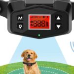 dog with wireless fence shock collar