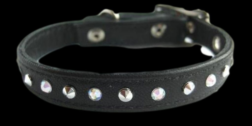 Luxury Redefined: Dog Collars Adorned with Diamonds 3 luxury dog collar diamonds celebrity