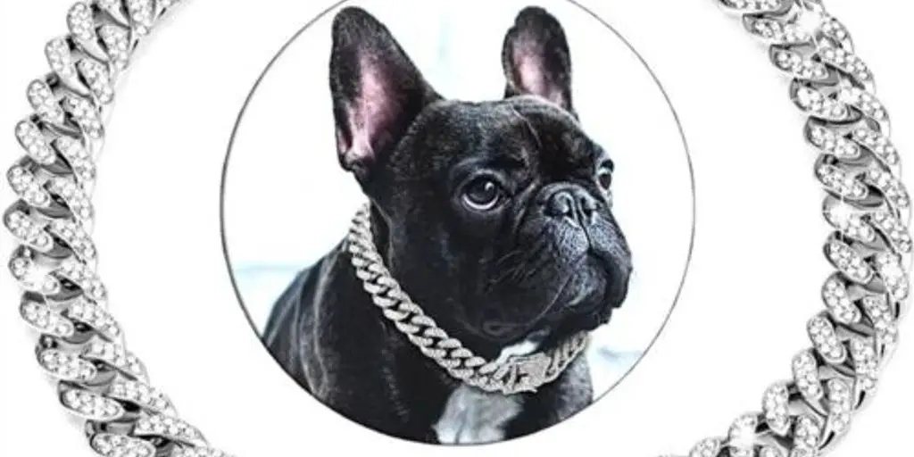 Luxury Redefined: Dog Collars Adorned with Diamonds 4 luxury dog collar with diamonds