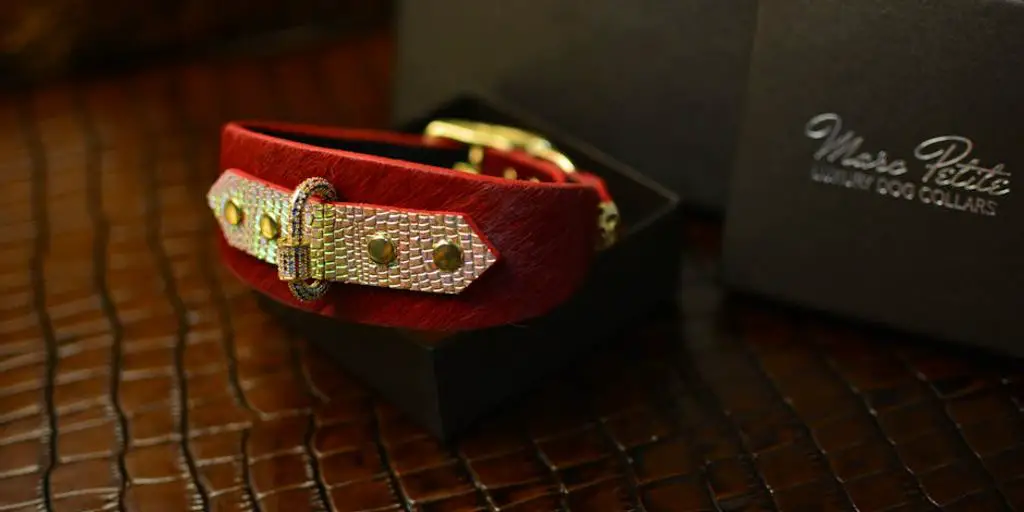 stylish dog collars on various breeds in a trendy pet boutique