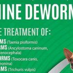 dog deworming natural remedies