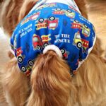 dog with fleas home remedies